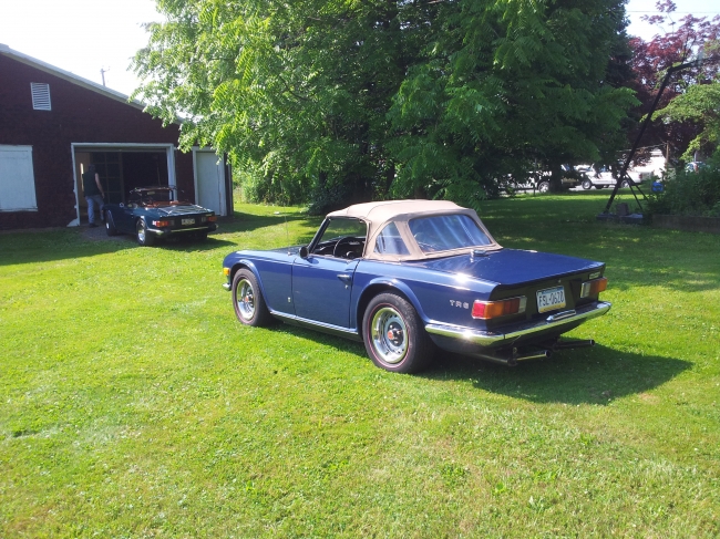 TR6 touch up