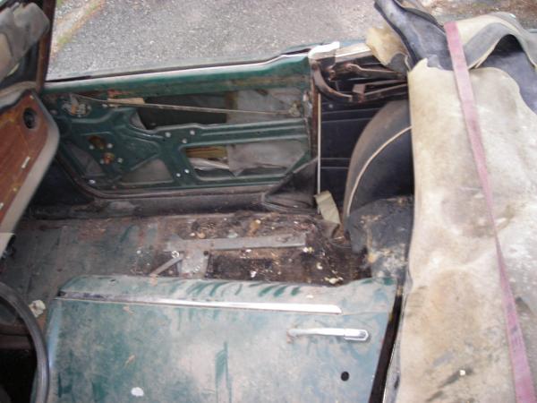 TR250