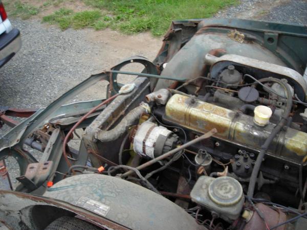 TR250